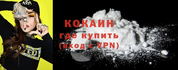 PSILOCYBIN Магас