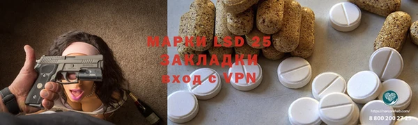 PSILOCYBIN Майский