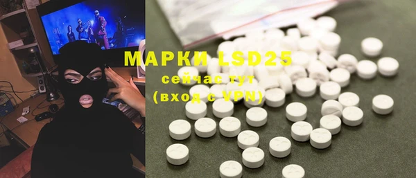 PSILOCYBIN Магас