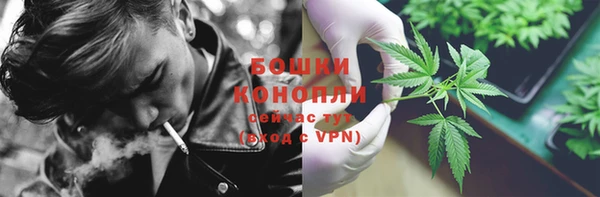 PSILOCYBIN Магас