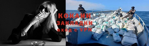 PSILOCYBIN Майский